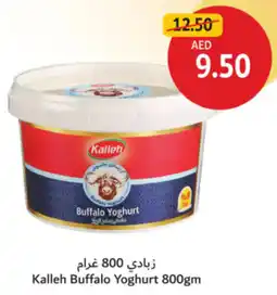 Union Coop Kalleh Buffalo Yoghurt offer