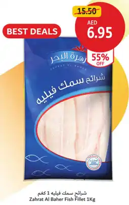 Union Coop Zahrat Al Baher Fish Fillet offer