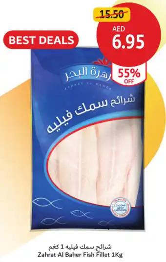 Union Coop Zahrat Al Baher Fish Fillet offer