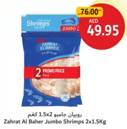 Union Coop Zahrat Al Baher Jumbo Shrimps offer