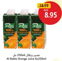 Union Coop Al Rabie Orange Juice offer
