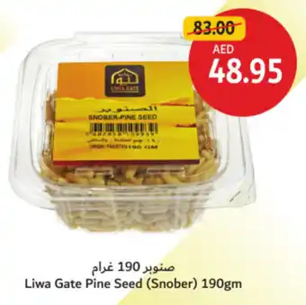 Union Coop Liwa Gate Pine Seed offer