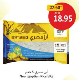Union Coop Noa Egyptian Rice offer