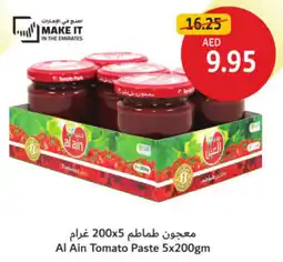 Union Coop Al Ain Tomato Paste offer