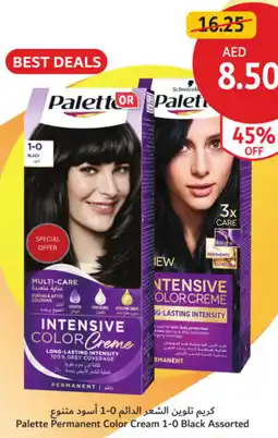 Union Coop Palette Permanent Color Cream 1-0 Black Assorted offer