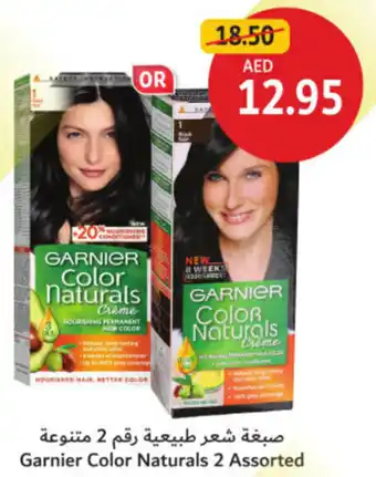 Union Coop Garnier Color Naturals 2 Assorted offer