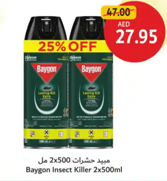 Union Coop Baygon Insect Killer offer