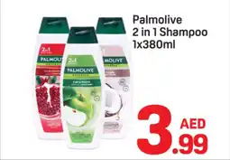 Day To Day Palmolive 2 in 1 Shampoo offer
