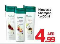 Day To Day Himalaya Shampoo offer