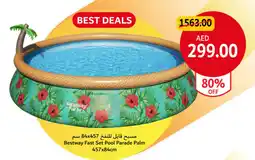 Union Coop Bestway fast set pool parade palm offer