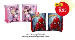 Union Coop Bestway Armbands offer