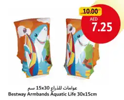 Union Coop Bestway Armbands Aquatic Life offer