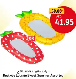 Union Coop Bestway Lounge Sweet Summer Assorted offer