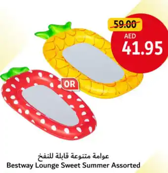 Union Coop Bestway Lounge Sweet Summer Assorted offer