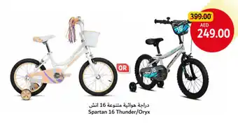 Union Coop Spartan 16 Thunder/Oryx offer