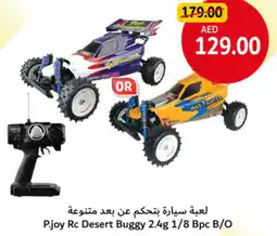 Union Coop P.joy Rc Desert Buggy 2.4g 1/8 Bpc B/O offer