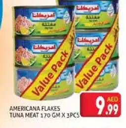 Palm Centre AMERICANA Tuna - Canned offer