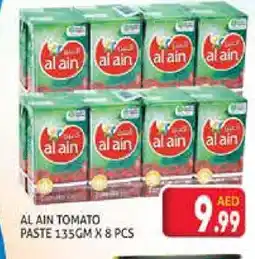 Palm Centre AL AIN Tomato Paste offer