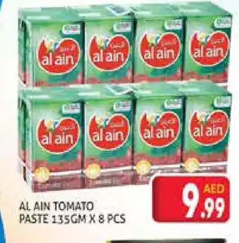 Palm Centre AL AIN Tomato Paste offer