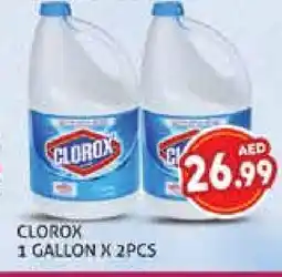 Palm Centre CLOROX General Cleaner offer