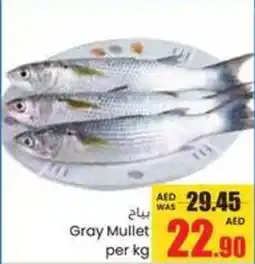 Armed forces cooperative society Gray Mullet offer