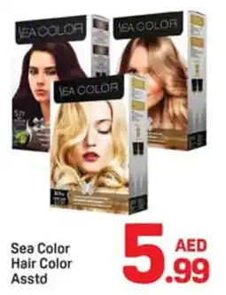 Day To Day Sea color hair color asstd offer
