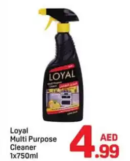 Day To Day Loyal multi purpose cleaner offer