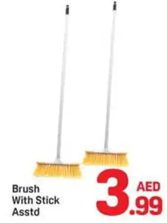 Day To Day Brush with stick asstd offer