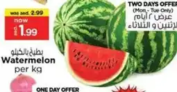 Nesto Watermelon offer