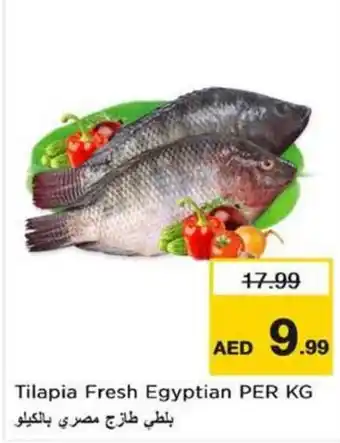 Nesto Tilapia Fresh Egyptian offer