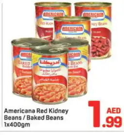 Day To Day AMERICANA Baked Beans offer