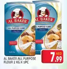 Palm Centre AL BAKER All Purpose Flour offer