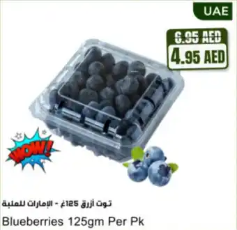 Almaya supermarket Blueberries offer