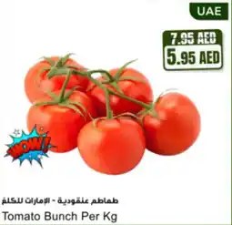 Almaya supermarket Tomato Bunch offer