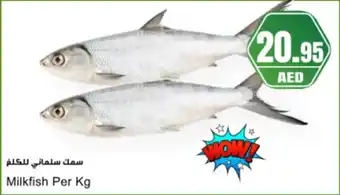 Almaya supermarket Milkfish offer