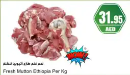 Almaya supermarket Fresh Mutton Ethiopia offer