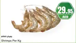 Almaya supermarket Shrimps offer