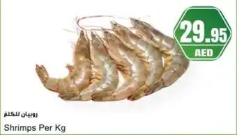 Almaya supermarket Shrimps offer