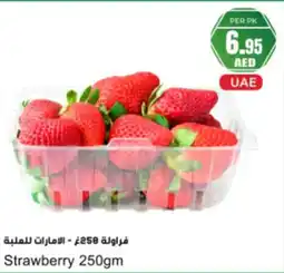 Almaya supermarket Strawberry offer