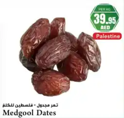 Almaya supermarket Medgool Dates offer