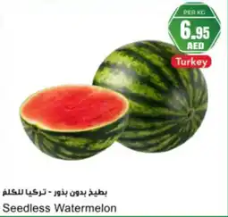 Almaya supermarket Seedless watermelon offer