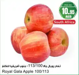 Almaya supermarket Royal Gala Apple 100/113 offer