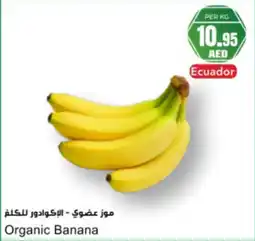 Almaya supermarket Organic Banana offer