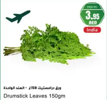 Almaya supermarket Drumstick Leaves offer