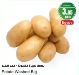 Almaya supermarket Potato Washed Big offer