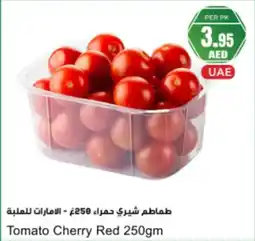 Almaya supermarket Tomato Cherry Red offer
