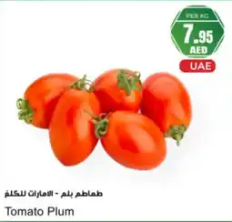 Almaya supermarket Tomato Plum offer
