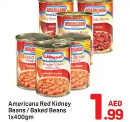 Day To Day Americana red kidney beans/baked beans offer
