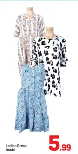 Day To Day Ladies Dress Asstd offer