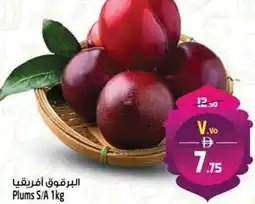Safari Hypermarket Plums S/A offer